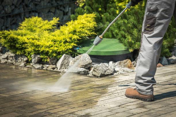 Best Pre-Holiday Cleaning  in Wamac, IN