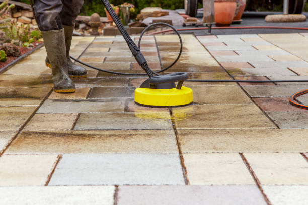 Best Solar Panel Cleaning  in Wamac, IN
