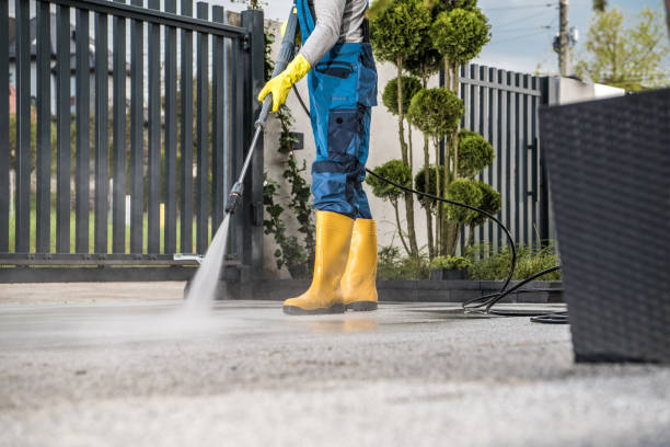 Best Rust Removal  in Wamac, IN